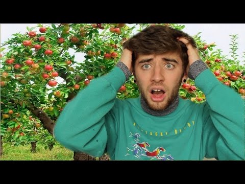 WHY EVERYONE SHOULD STOP EATING APPLES! - if you eat apples still after watching this video you need to STOP otherwise you will DIE.