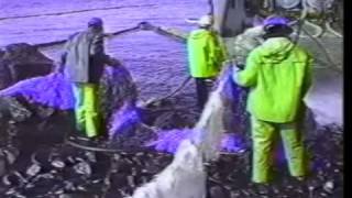 Corexit 9580 Dispersant Use in the Exxon Valdez Oil Spill Cleanup 1989