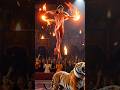 AGT magic show #agt #magic