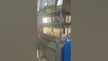 Lian Pack丨 The Dry Press Production Process for Moulded Pulp Containers