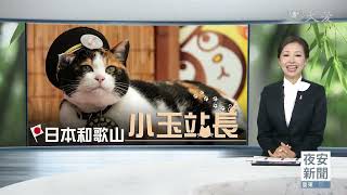 大愛新聞 2023-07-10 1900