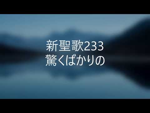 ネットワーク エンジニア 求人 東京