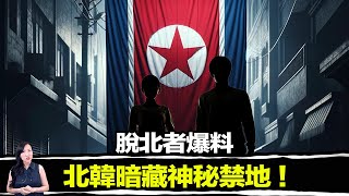 金氏王朝最不堪的秘密，27歲的金正恩如何炮決姑父？如何犬刑分尸高官？如何坐擁2000名16歲未成年少女團？如此荒唐，卻沒人敢說不！ | 馬臉姐