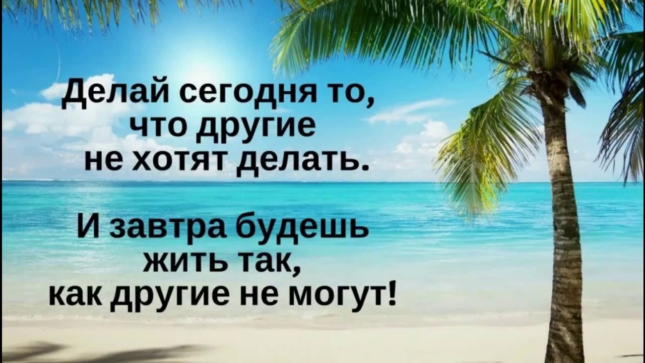 Компания веста питер