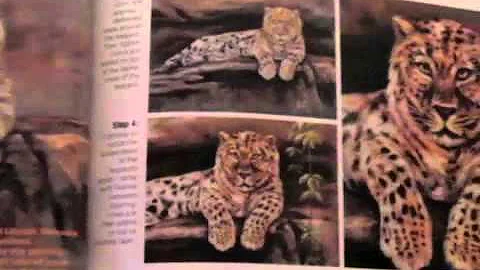 Julie Lemons Kickstarter Art book Project Video