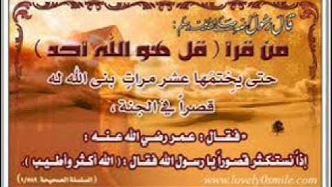 سعد السبيعي ما تيسر من سورة الاحقاف