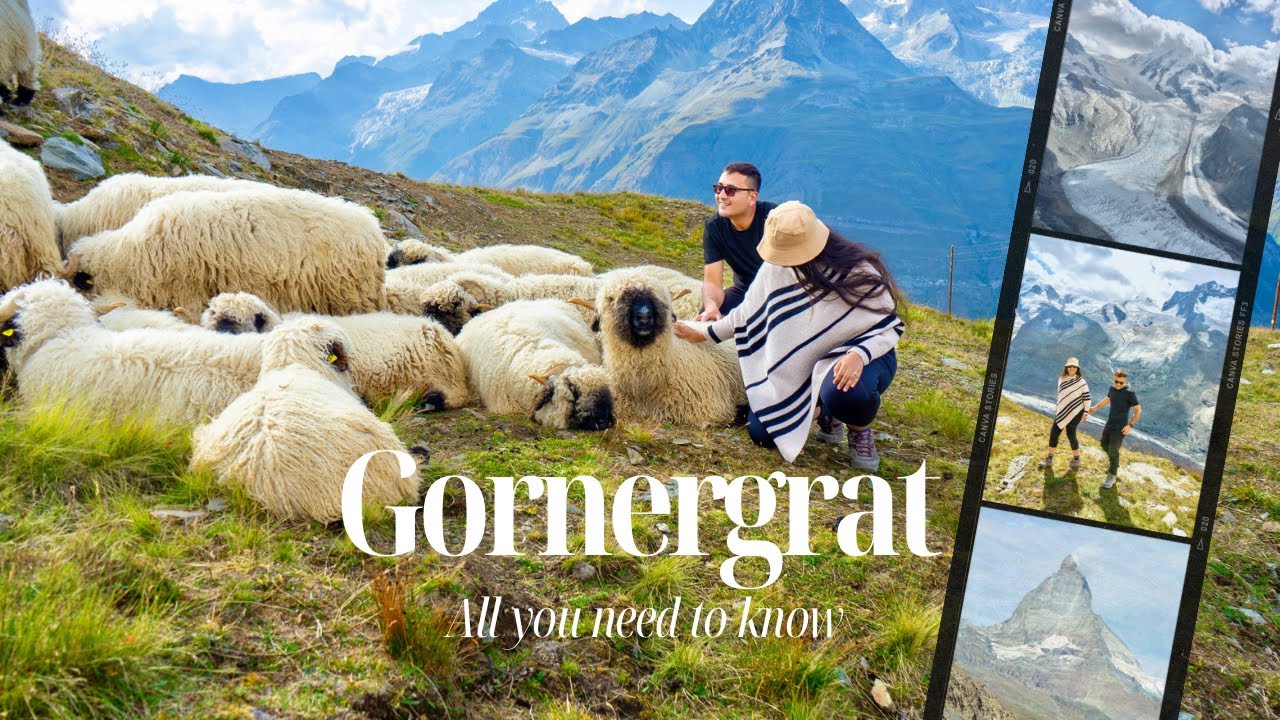 Is Gornergrat worth the price? Things to do in Zermatt Switzerland|Discounted Tickets and more