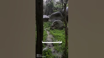سورة نوح ايه ٢٨ للقارئ علي جابر