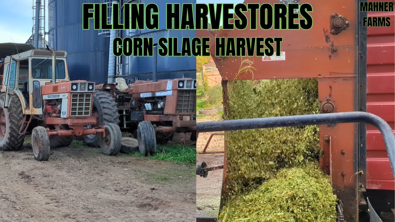 2025 Corn Silage: Filling the Harvestore Silo (IH 1466/1566)