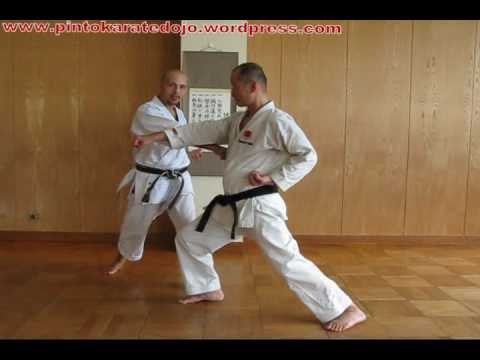 Karate Shotokan Treinamento