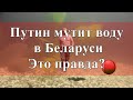 Путин мутит воду в Беларуси. Это правда?