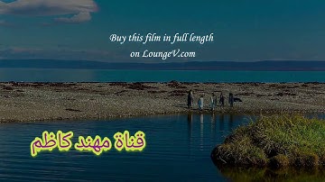 يَا قَوْمِ إِنَّمَا هَٰذِهِ الْحَيَاةُ الدُّنْيَا مَتَاعٌ تلاوة الشيخ محمد صديق المنشاوي 💙