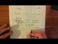 Caveolae and endothelial nitric oxide synthase part 3