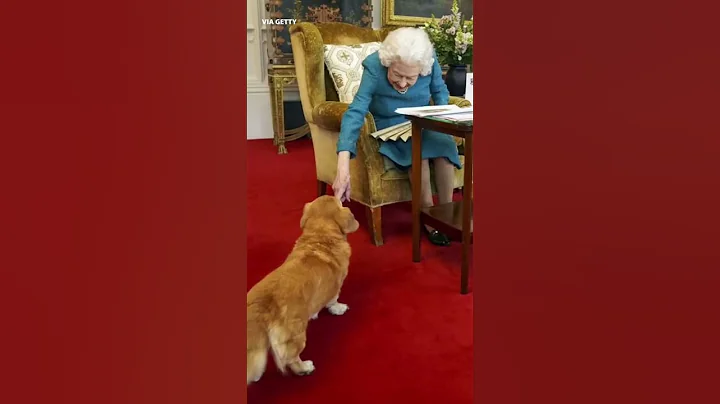 Queen Elizabeth’s lifelong love of Corgis | #shorts #yahooaustralia