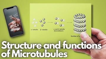 Microtubules: Structure and functions