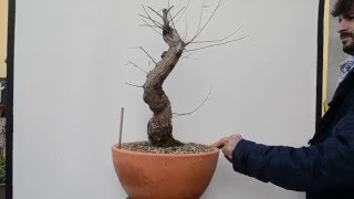 DSC 0014