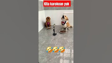 Gugu karoke🤣 #kutipanchannel93 #funny #doglover #guguk #comedy #guguklucu #lucu #anjinglucu #shorts