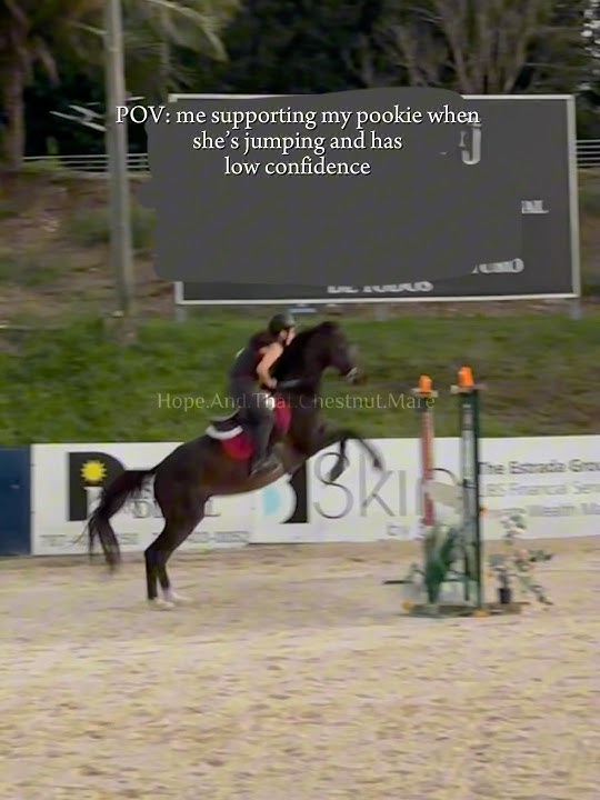 GO FABI GO!! GOOD JOB FABI YOU’RE DOING AMAZING SWEETIE!! 🗣️🗣️💪🏼 || @Fabiola.Milo_EQ