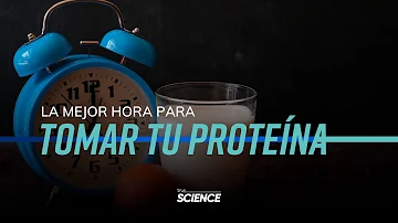 ¿Cuál es la mejor proteína para tomar a primera hora de la mañana?