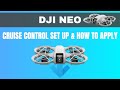DJI Neo How to set up Cruise Control and test flight #shaunthedrone