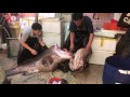 Hong Kong seafood of fisherman 西環魚王 休魚期間，都可見到深海野生220斤龍躉1/3