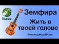 Земфира - Жить в твоей голове (видеоурок, разбор на укулеле)