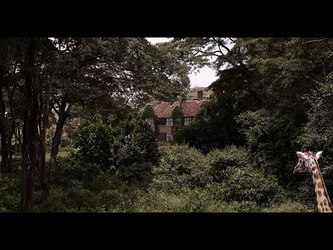 sr - Offizieller Trailer