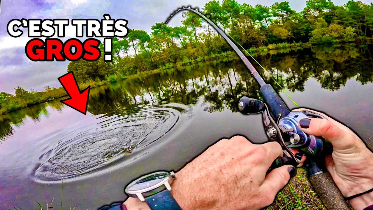 Il PÊCHE un poisson ÉNORME pendant cette COMPÉTITION dans l’ÉTANG d’un abonné !! Ft @AlexFishingytb