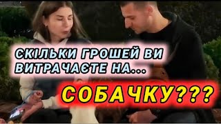 Скільки грошей ви витрачаєте на собачку?(Винница)