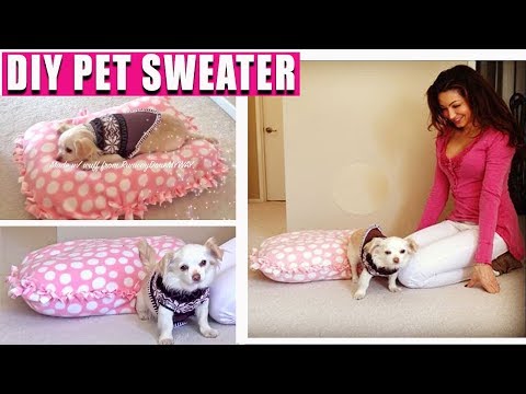 DIY Cheap Pet Sweater - DIY Pet Bed - EASY NO SEWING