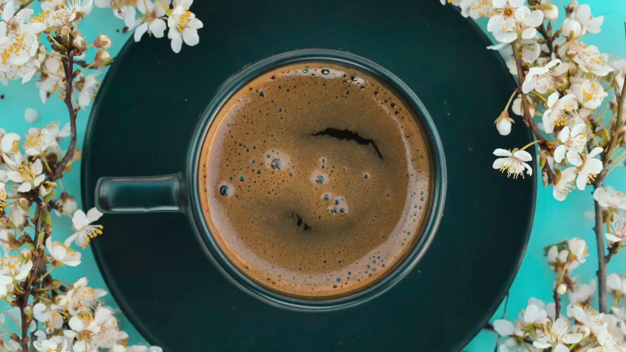 Acoustic Cafe Playlist ☕ Upbeat and Relaxing for a Beautiful Spring Day