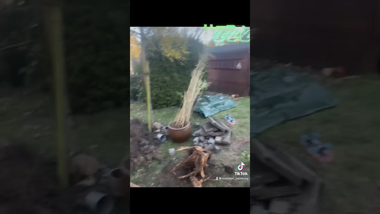 Wir bauen ein neues MoinDori Hauptquartier… folgt uns wenn ihr sehen wollt wie es weiter geht