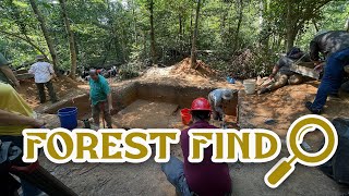 Details Forest Find in Vernon Parish Guide