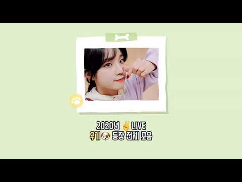 2020년 ✌️ 우기 등장 전체 모음 🐶