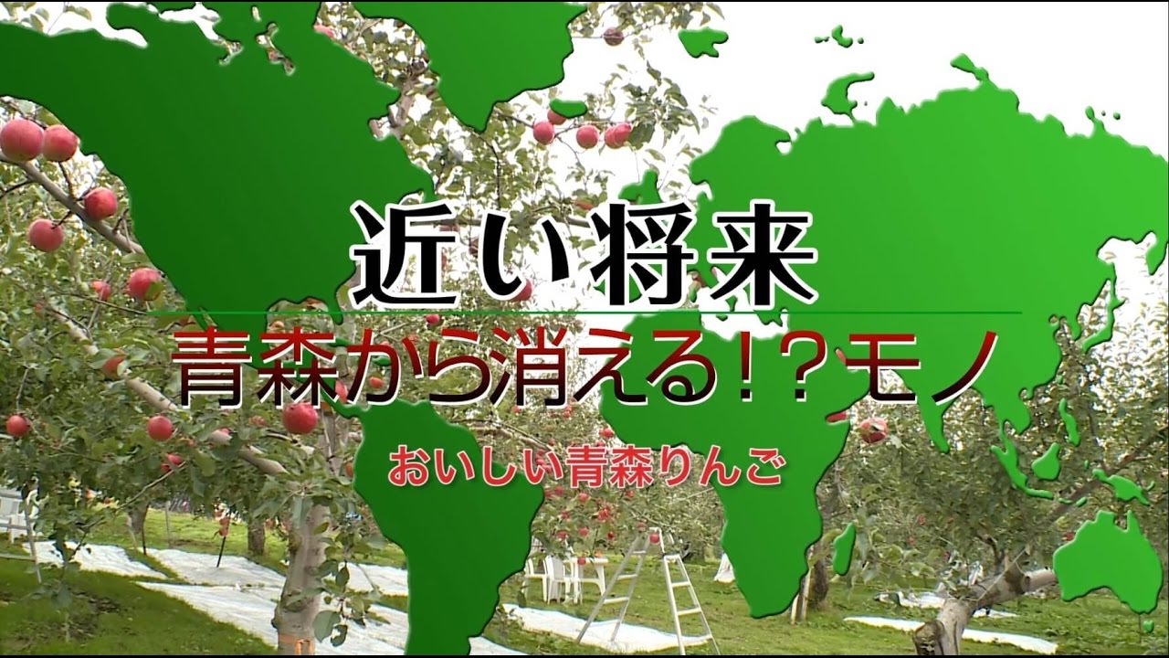 りんご果実の着色不良発生による品種の減少と酸味減少による貯蔵性の悪化懸念～近い将来青森から消える!?モノ～｜COOL CHOICE：青森県