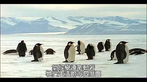 全球暖化系列【动物求生之道】：南北极 - 天天要闻