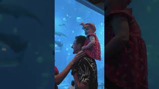 Dive into a day of insightful discoveries and non-stop fun with the family at S.E.A. Aquarium!