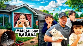 Download Lagu МЫШЫҒЫН ҰРЛАП КЕТТЫК😳🐈 АЯУКА ЖЫЛАДЫ😬 MP3