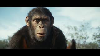 Kingdom of the Planet of the Apes | Exclusive IMAX® Trailer