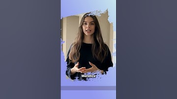 🚀 Blogify Review 2025 – Automate Your Blog in Minutes! 📝