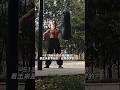 SANDBAG KICKBOXING FIST || STRENGTH KICKS WORKOUTS #kick #martialarts