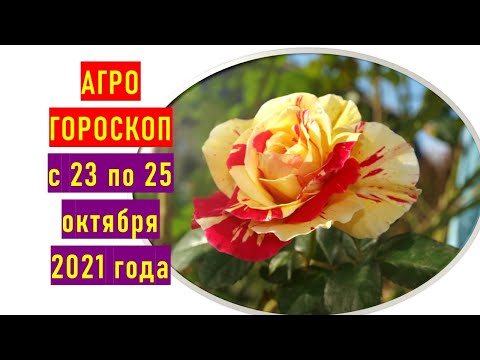 Agrogoroskops no 2021. gada 23. līdz 25. oktobrim PLUS