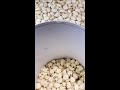 Oddly Satisfying Odd Jobs Live