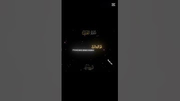 تلاوة قصيرة... لكنها تهز القلب