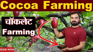Cocoa Farming | Chocolate Farming | चाॅकलेट की खेती | Cocoa Bean ki kheti | Chocolate kheti #kheti screenshot 5