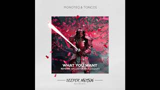 Monoteq & Toricos - What You Want Ballester Remix
