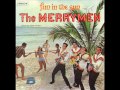 Capture de la vidéo Merrymen - The Lp Medleys