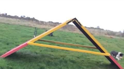 Running A Frame in Slow Motion - Bella dog agility