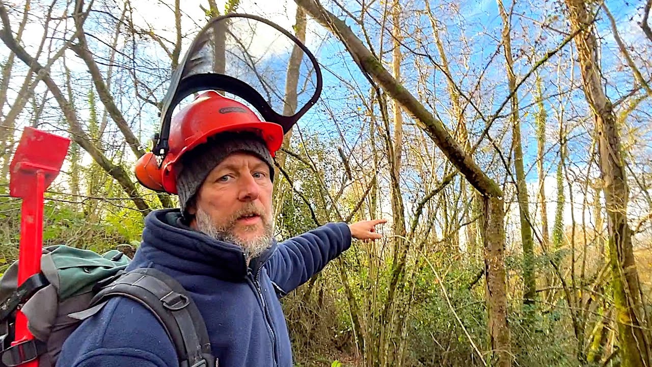 ⚠️ Danger!! 5 Trees Down in a Storm - Husqvarna 550xp Clean Up - YouTube