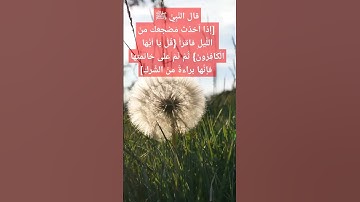 سورة فيها البراءة من الشرك
